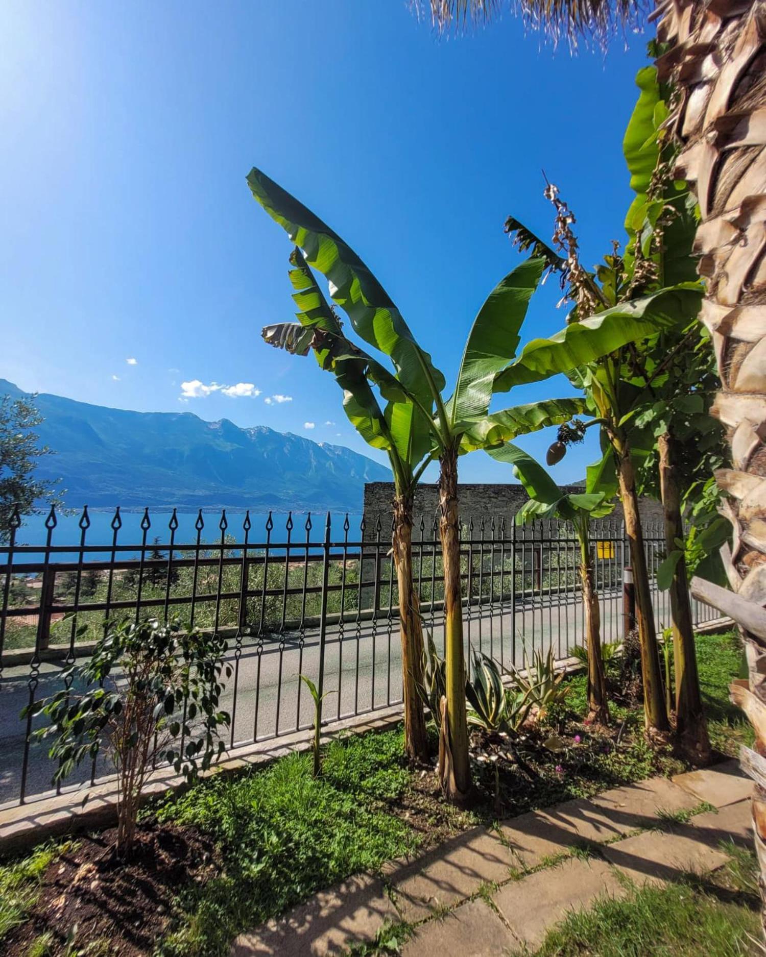 Villa Fior Di Loto Limone sul Garda Eksteriør billede